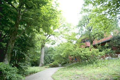 庭 / Garden